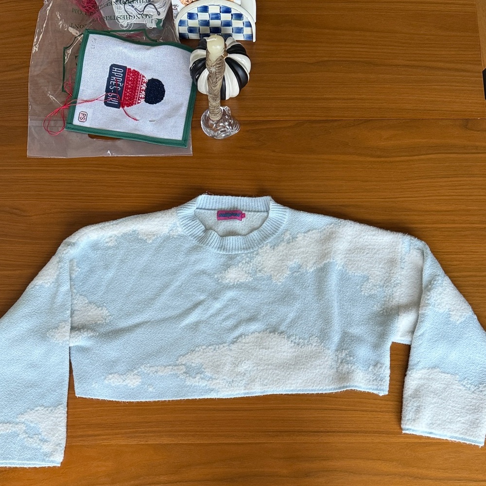 Edikted Blue and White Cloud Cropped Sweater
